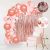Pink Rose Gold Balloon Arch Kit – Elegant Party Decor