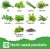 REALPELATED Indoor Herb Garden Kit – 10 Non-GMO Herbs