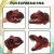 COGO MAN Red T-Rex Hand Puppet: Realistic Dinosaur Toy
