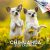 2025-2026 Chihuahua Dog Breed Monthly Wall Calendar