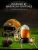 Football Whiskey Decanter Set with 2 Glasses – Gift for Fans