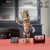 LEGO Marvel I Am Groot 76217 – Building Toy Set