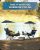 Sport-Brella Beach Chair with UPF 50+ Umbrella