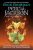 Percy Jackson: Wrath of the Triple Goddess – Mythical Adventure