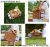 HappyPicnic Wicker Picnic Basket Set for 4 – Large Willow Hamper