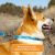 PAWBLEFY Reflective Nylon Dog Collar: Personalized Safety