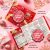 Midi International Snack Box: Exotic Foreign Snacks