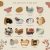 SoftOwl Premium Soy Candle Making Kit