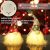 Juegoal 11″ Lighted Christmas Gnome Santa