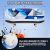 Pro Complete Skateboard – 31″x8″ for Beginners