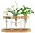 Dahey Plant Propagation Terrarium Desktop Glass Planter