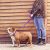 TagME Personalized Dog Collar & Leash Set: Reflective & Embroidered