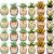 24 Pack Owl Succulent Plant Pots