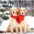 RED EMBER Golden Retrievers 2026 Wall Calendar, 12″x24″