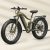 PUCKIPUPPY Boxer 960W Ebike – 48V 20AH Full Suspension