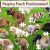 Funwares Pooping Puppies 1000-Piece Puzzle