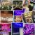 Custom Neon Signs