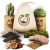 Succulent Cactus Seed DIY Terrarium Kit