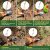 MelonArt 10 Pcs Heavy Duty Garden Tool Set