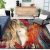 SAFAVIEH Glacier Area Rug: 7’8″ Square, Red/Green