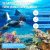 Anti-Fog Panoramic Scuba Diving Mask & Dry Snorkel Set
