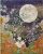 Autumn Moon Journal: Elegant Diary & Notebook