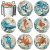 Absorbent Stone Coaster Set of 8 with Holder – Beach Theme