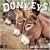 RED EMBER Donkeys 2026 Wall Calendar, 12″x24″ Open