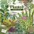 Planted Game by Phil Walker-Harding – Deck Building Fun